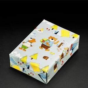Verpackungsbeispiel vom Geschenkpapier Camp - 40324;  Stichwörter: Geschenkpapier, Geschenkverpackung, Geschenkpapierrollen, Kindermotiv, Tiere, mittelgroß; 